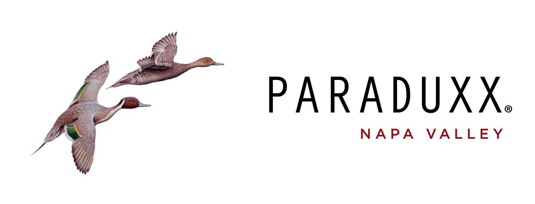 Paraduxx - Amanda Barragan & Christina LoMedico