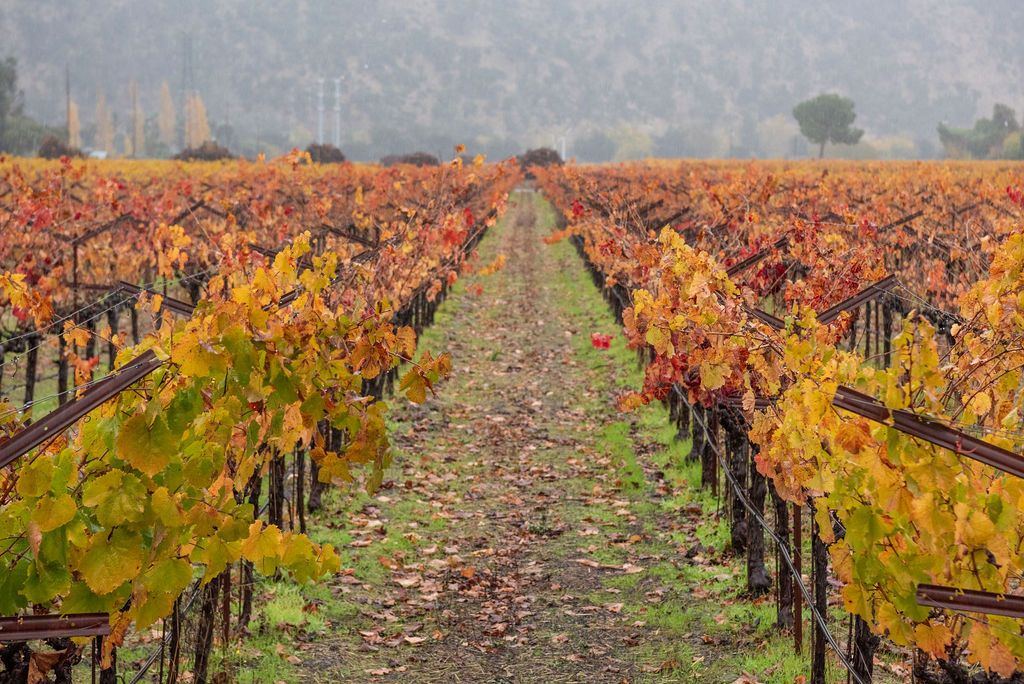 Napa Valley Hospitality Forum